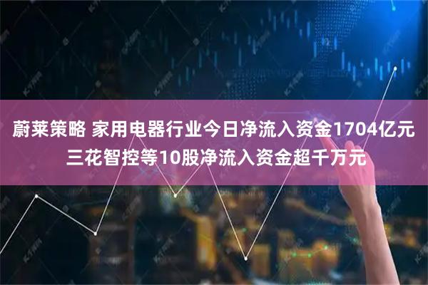 蔚莱策略 家用电器行业今日净流入资金1704亿元 三花智控等10股净流入资金超千万元